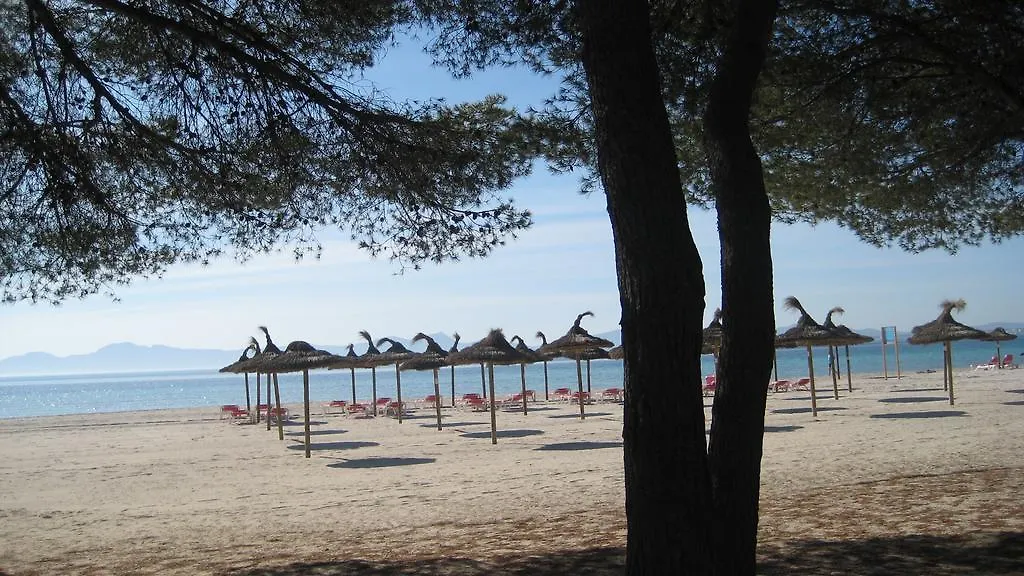 Beach Apartment Minerva Port de Alcudia   Port de Alcudia (Mallorca)